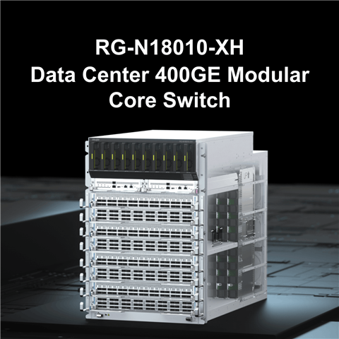 RG-N18010-XH Veri Merkezi Ağ Yönetimi - 2