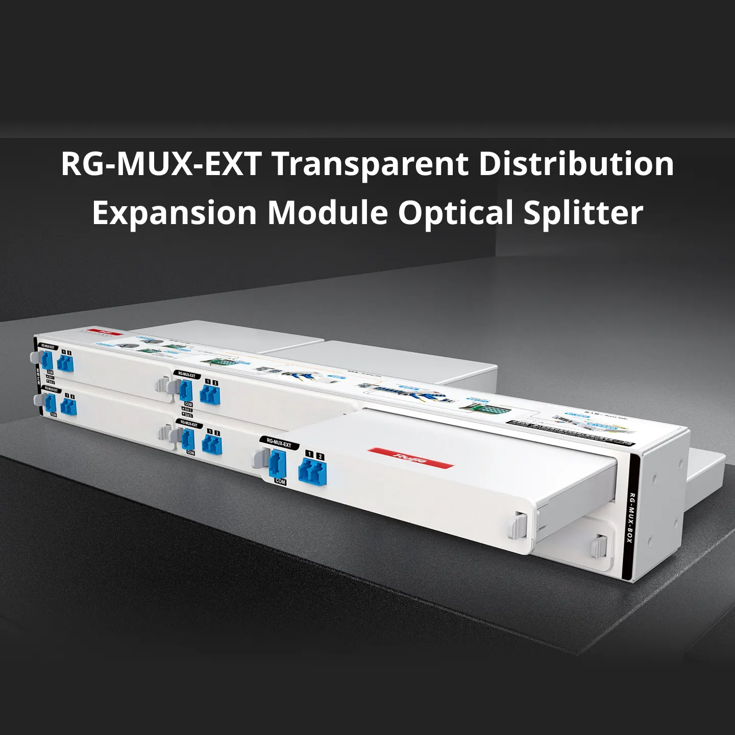 RG-MUX-EXT 스위치 - 2