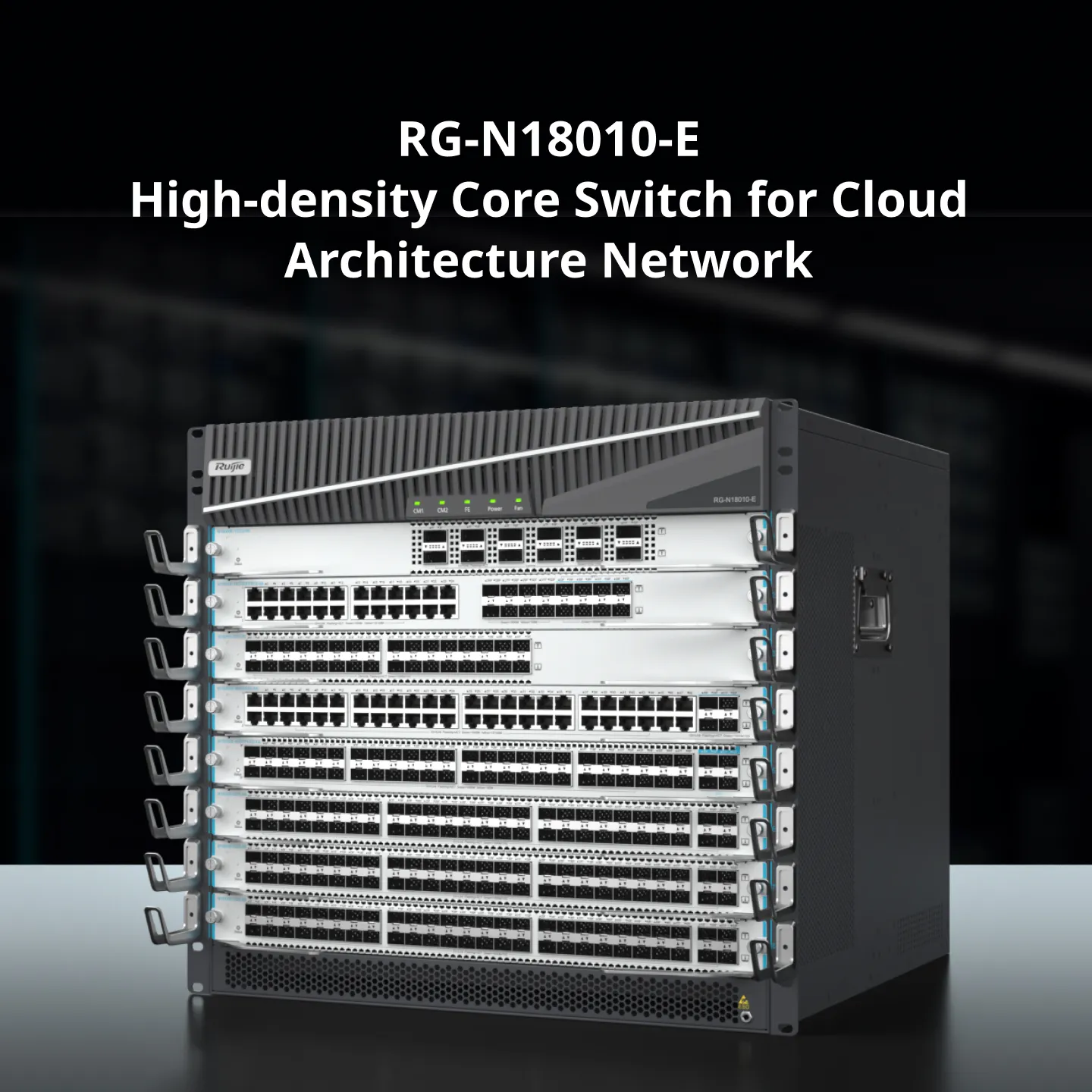 RG-N18010-E Switches - 2